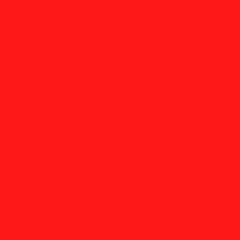 Lanyard-Neon Red