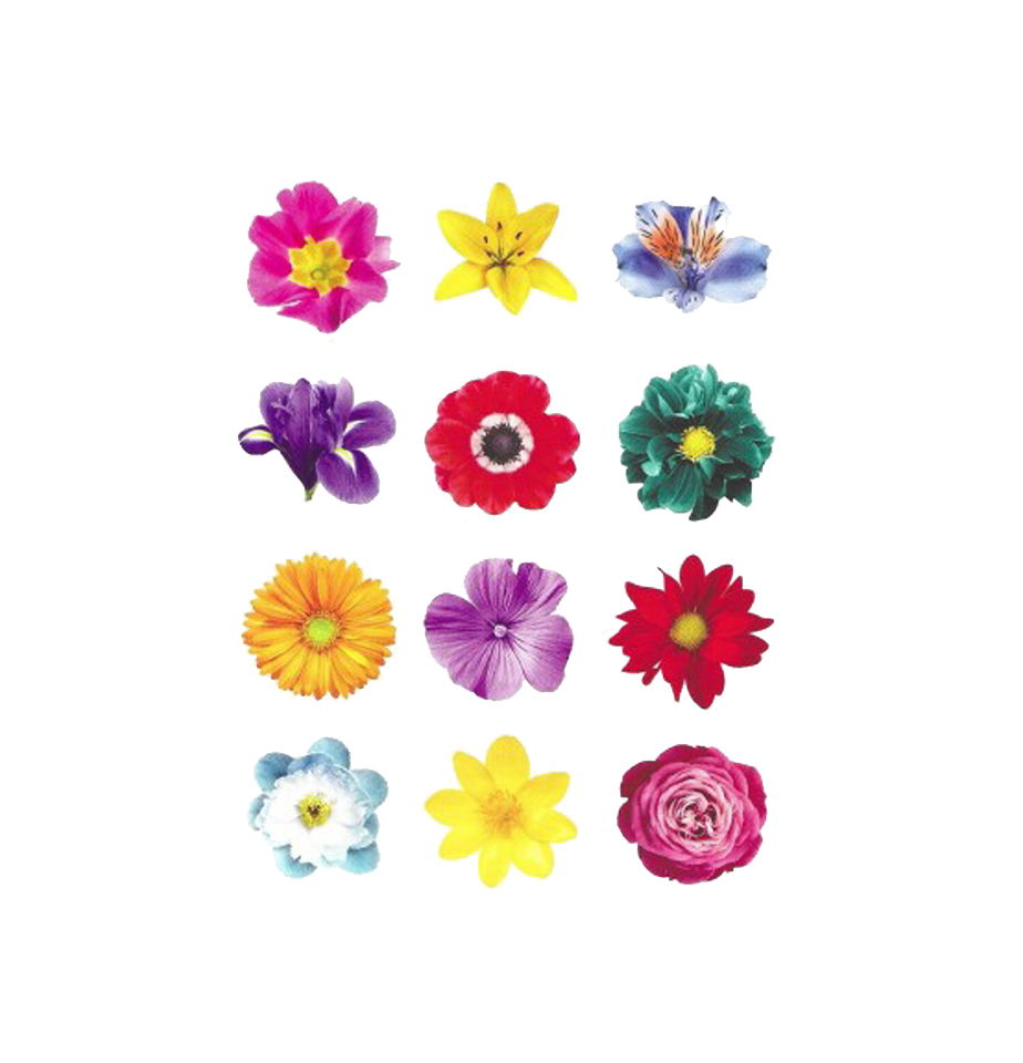 Shavous/Spring Stickers