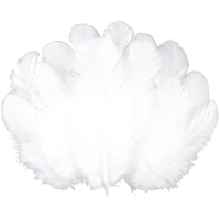 Tishrei Supplies