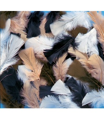 Natural Feathers 14Grams – Natural Turkey Craft Feathers
