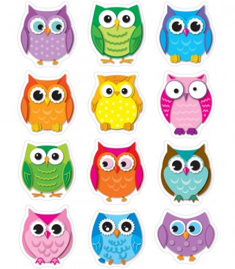Colorful Owls Shape Stickers