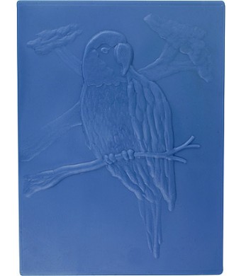 Long-Lasting Molds – Parrot