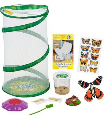 Butterfly Mini Garden Gift Set with Live Cup of Caterpillars