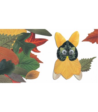 Paper Leaves 