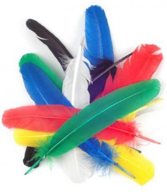 Rainbow Feathers 