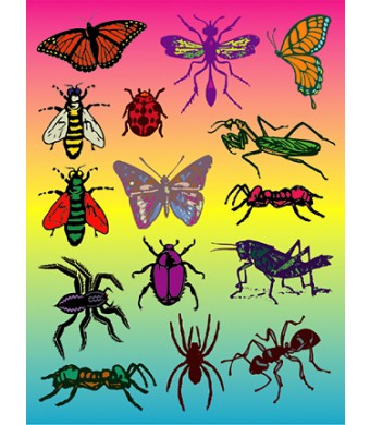Stickers, 25 Sheets - Insects