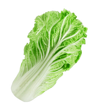 Lettuce Cardstock Cutout