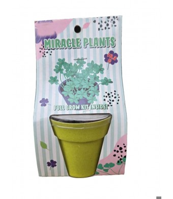 Miracle plant-Just add a little water and watch them grow!