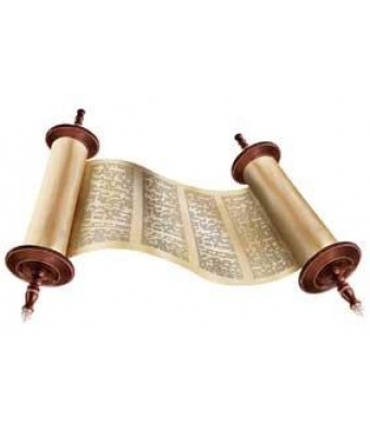 Torah Cut-Outs – Card Stock, 20/pk