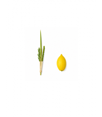 Esrog and Lulav Cutout Set