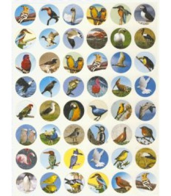 Glitter Bird Stickers