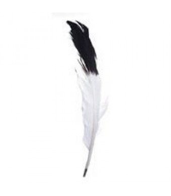 Imitation Eagle Feathers 2/pk