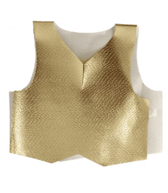 Gold Metallic Vest
