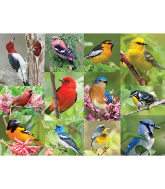 Birds of a Feather Puzzle