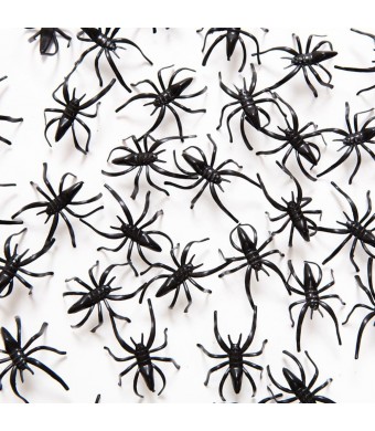 Scary Spider