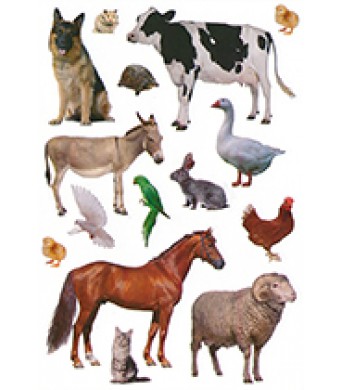 Farm Animal Stickers 150 Pack – Barnyard Animal Stickers for Kids Crafts, Classroom Rewards & Scrapbooking