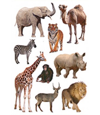 Zoo Animal Stickers, 90/Pk