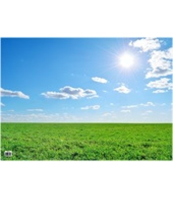 Summer Sky Oaktag