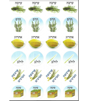 Assorted Sukkos Stickers 10 Sheets
