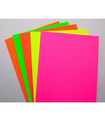 67lb Neon Tag Paper- Choice of Colors