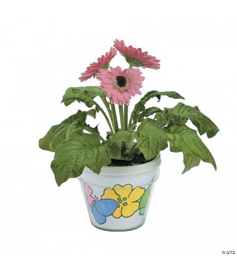 3 3/4" Color Your Own DIY Artist Spring Flower Pots - 12 Pc