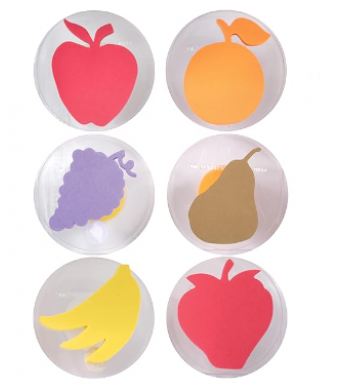 Giant Fruit Stamps 