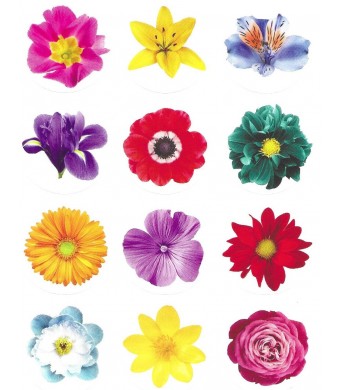 Round Circle Dot Stickers – Large Photo Flower 