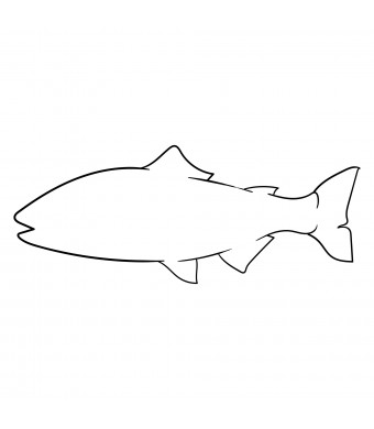Cardstock Cut-out Fish  10" x 4" 12/Pack
