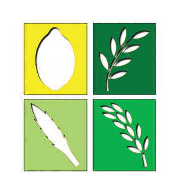 Arba Minim Stencils