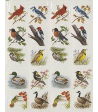 Birds Stickers