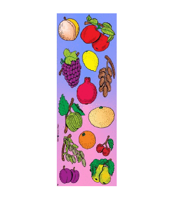 Tu Bshvat Shivas Haminim Fruit Stickers