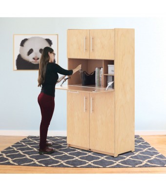 Teachers Workstation Cabinet 