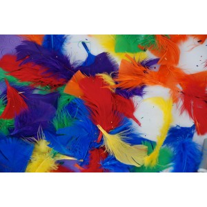 5" Feathers - 14 Gram Pack