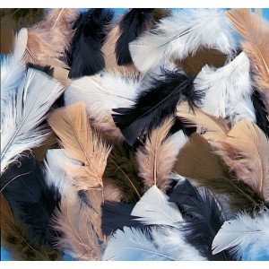 Natural Feathers 14Grams – Natural Turkey Craft Feathers
