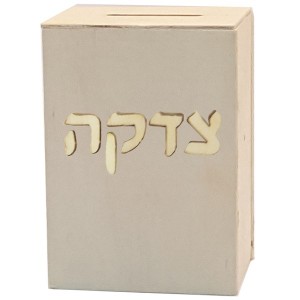 Paint your own Tzedakah Box