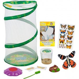 Butterfly Mini Garden Gift Set with Live Cup of Caterpillars