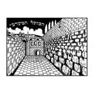 Velvet Art- Kosel