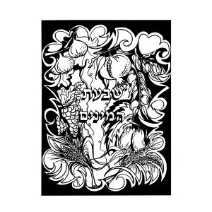 Velvet Art- Shivas Haminim