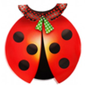 Ladybug Vest