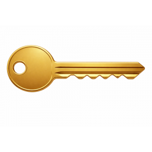 Gold Key Cadstock Cutout  