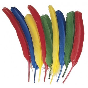 Quill Feathers – Assorted Colors, 24/pk