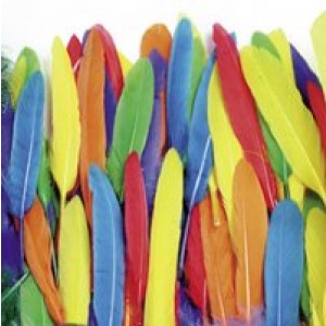 Duck Feathers 14 Grams
