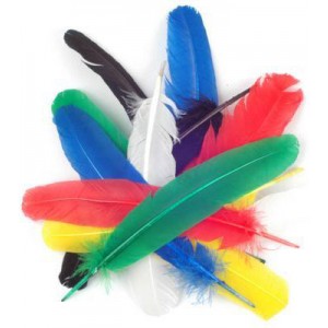 Rainbow Feathers 