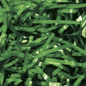 Metallic Shredded Ribbon