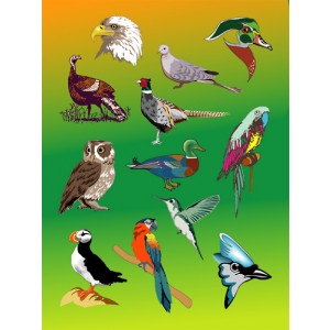 Stickers, 25 Sheets - Birds