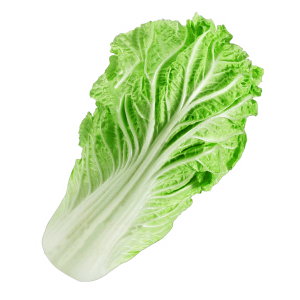 Lettuce Cardstock Cutout