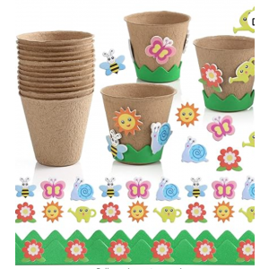 Paper Pot Craft Kit