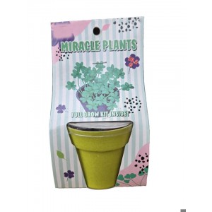 Miracle plant-Just add a little water and watch them grow!