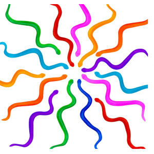 Stretchy Snakes – Sensory Fidget Toys for Classroom & Party Fun (12 Pack)