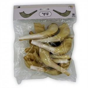Plastic Toy Shofars in Natural Color - with Embedded Noisemaker 